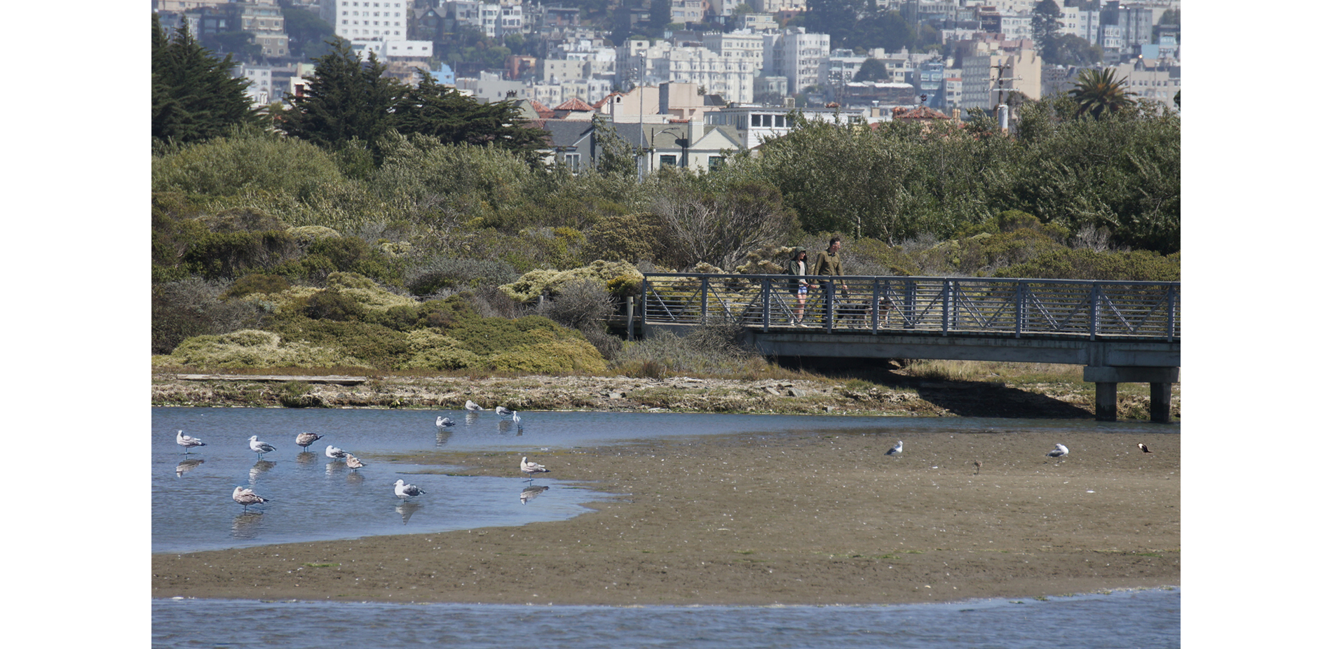 The park connects the City of San Francisco to the restored marsh.